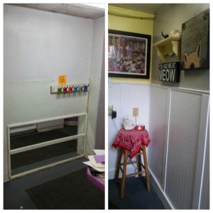 Canine Corner Remodel