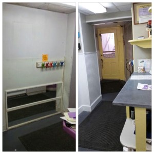 Canine Corner Remodel