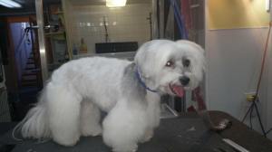 14433143_1219621374764375_4175684782019642023_n